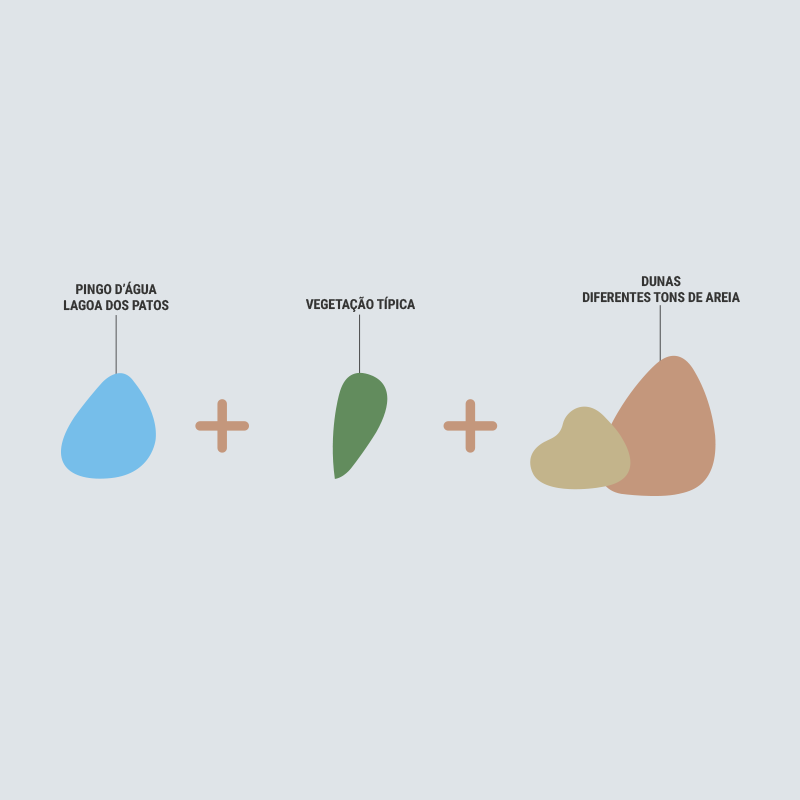 Projeto de Conservação Lagartixa-das-dunas